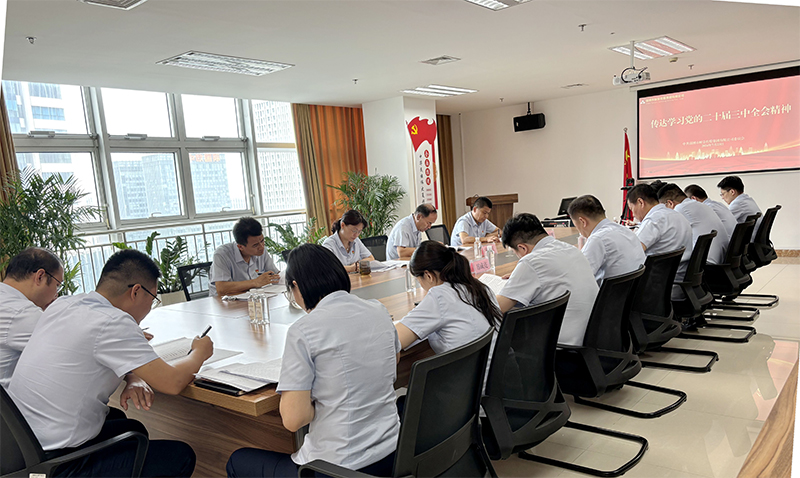 谈球吧召开党委扩大会议 传达学习党的二十届三中全会精神